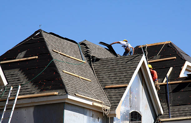 Best New Roof Installation  in Wacousta, MI
