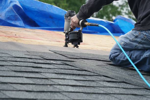 Best Metal Roofing Contractor  in Wacousta, MI