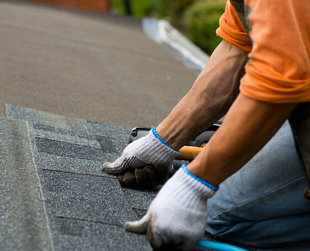 Best Shingle Roofing Installation  in Wacousta, MI