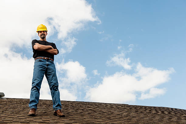 Best Roof Gutter Cleaning  in Wacousta, MI