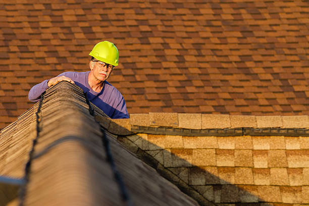 Best Roof Repair Services  in Wacousta, MI
