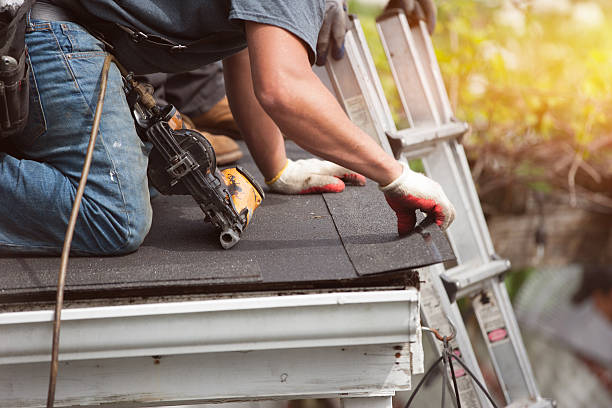 Best Residential Roofing Contractor  in Wacousta, MI