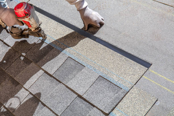 Best Sealant for Roof  in Wacousta, MI