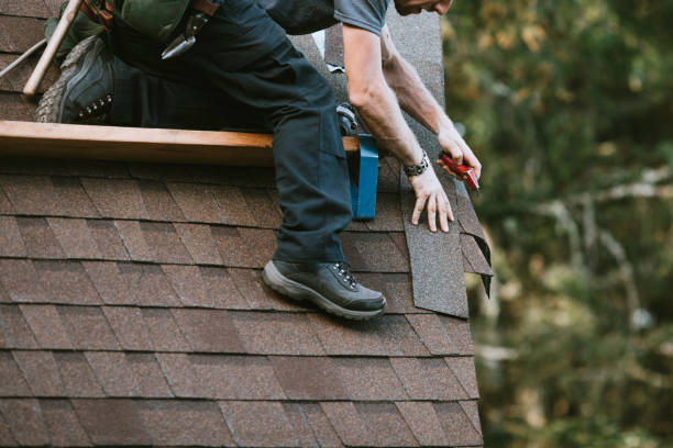Best Commercial Roofing Services  in Wacousta, MI